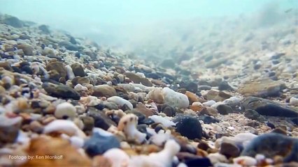 Ինչու՞ են գետերը ոլոր-մոլոր