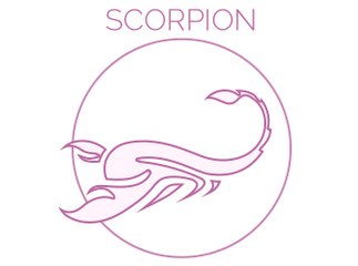 Exclu Vidéé : SCORPION : Vous aurez la maîtrise d'une situation...