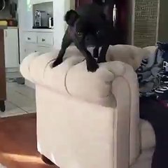 Я совершил большую ошибку