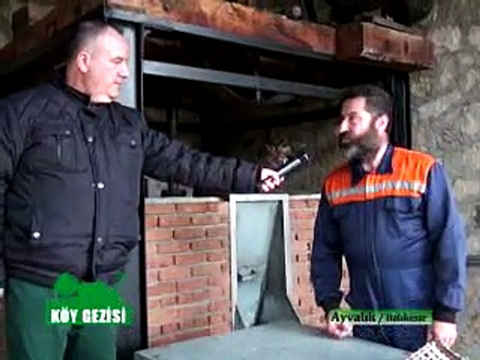 254 Ayvalık Zeytin