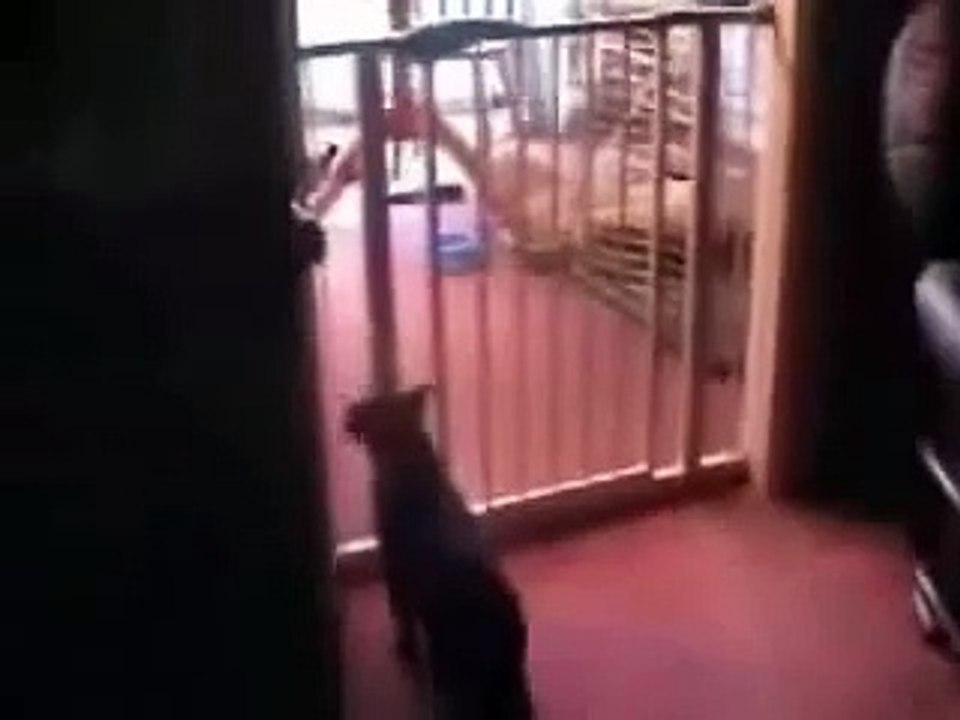 Chat con
