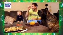 Babies and Animals Sleeping Together Compilation 2015 New Funny Animal Videos Compilation 2014 Baby