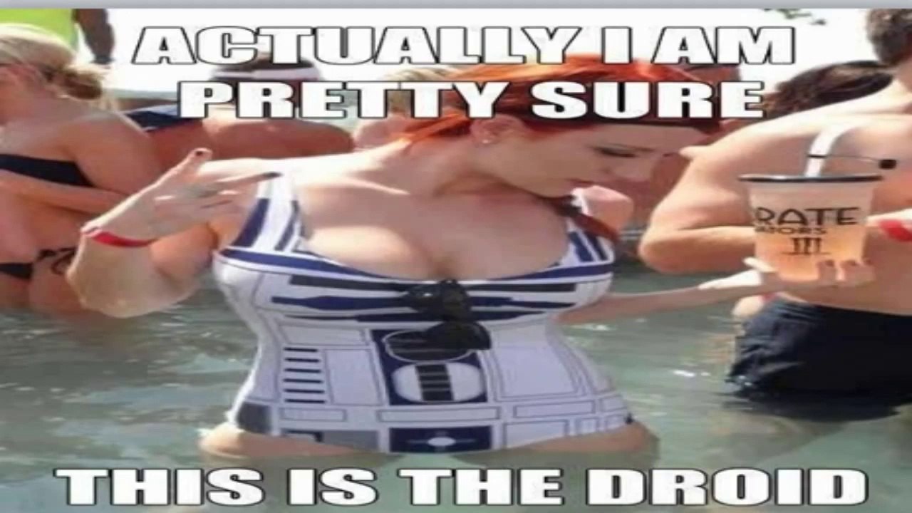 FUNNY VIDEOS Funny Cats Funny Cat Videos Funny Animals Try Not To Laugh