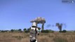 ATAT Madness - Star Wars Imperial Walker Arma 3