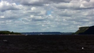 Seagulls & Sailboats