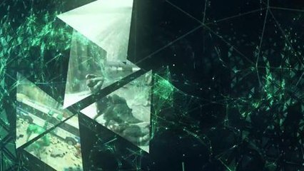 SHIELD - Made To Game