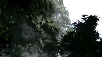 Unreal engine 4 bosque