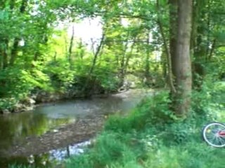 Roanne renaison coin vert orties