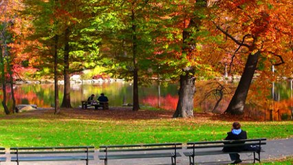 Shirley Bassey - I Need To Be In Love / C'est La Vie (1977 Recordings)