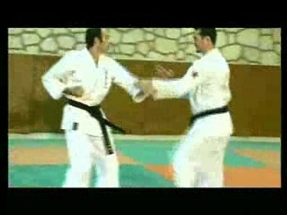 KARATE UECHI-RYU KARATE DO D'OKINAWA Vol. 1