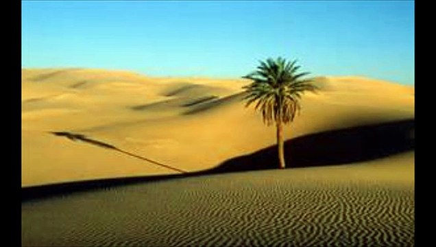 Beethoven Symphony No.9 Furtwangler 1942 3rd movement