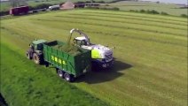 UK Farming Vegetables Harvesting Bramdean