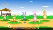 The Finger Family Rabbit (Bunny) Family | Finger Rhymes For Children