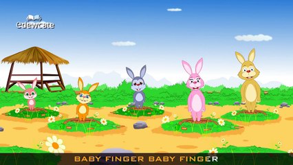 The Finger Family Rabbit (Bunny) Family | Finger Rhymes For Children