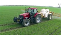 UK Farming Vegetables Seeding East Meon