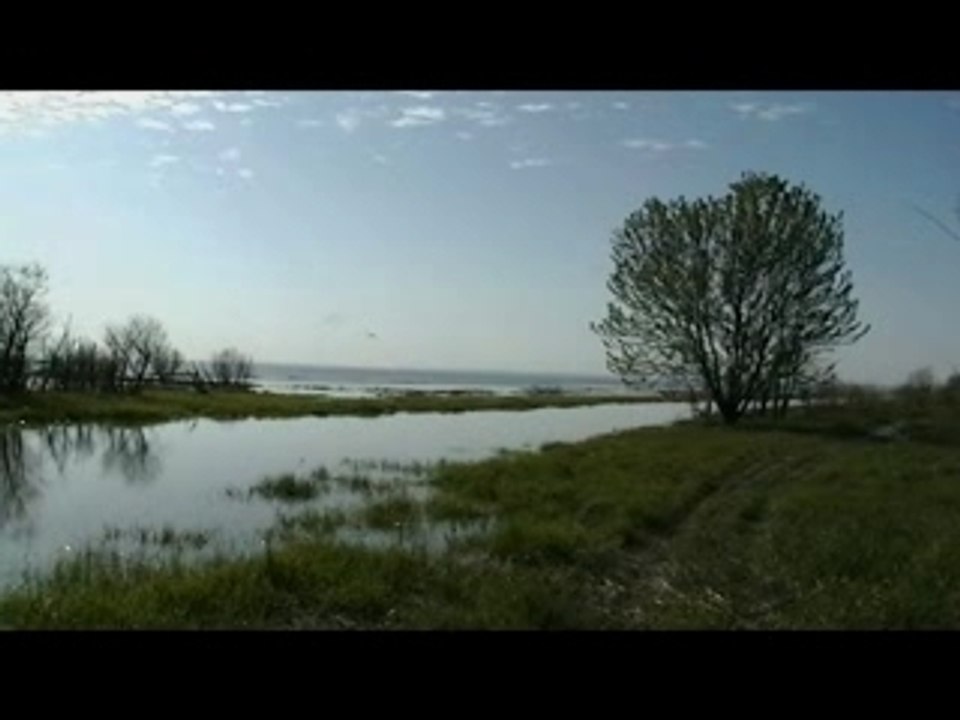Lac st pierre video