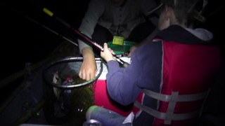 Night Fishing for Flathead and Channel Catfish on the Susquehanna River