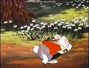 Opening To Robin Hood 1994 VHS