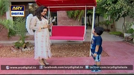 Watch Bulbulay Episode - 228 - 18th January 2016 on ARY Digital