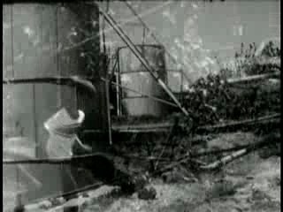 The strange ones (pedophiles)