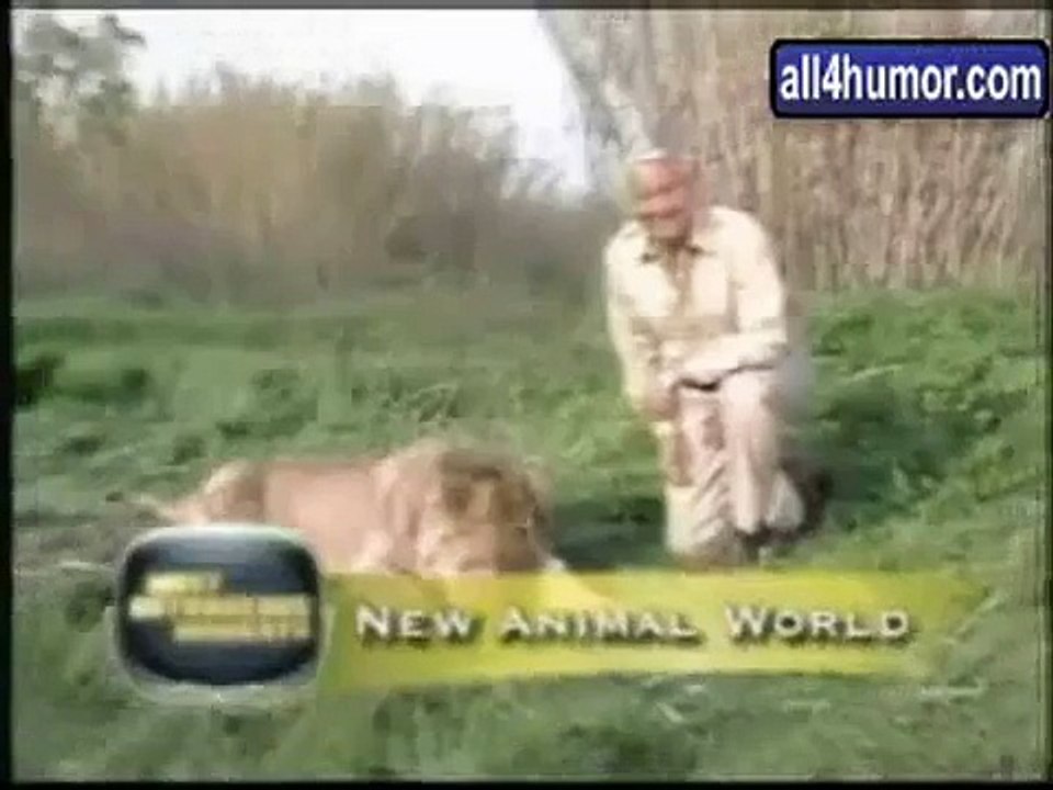 Funny Animals