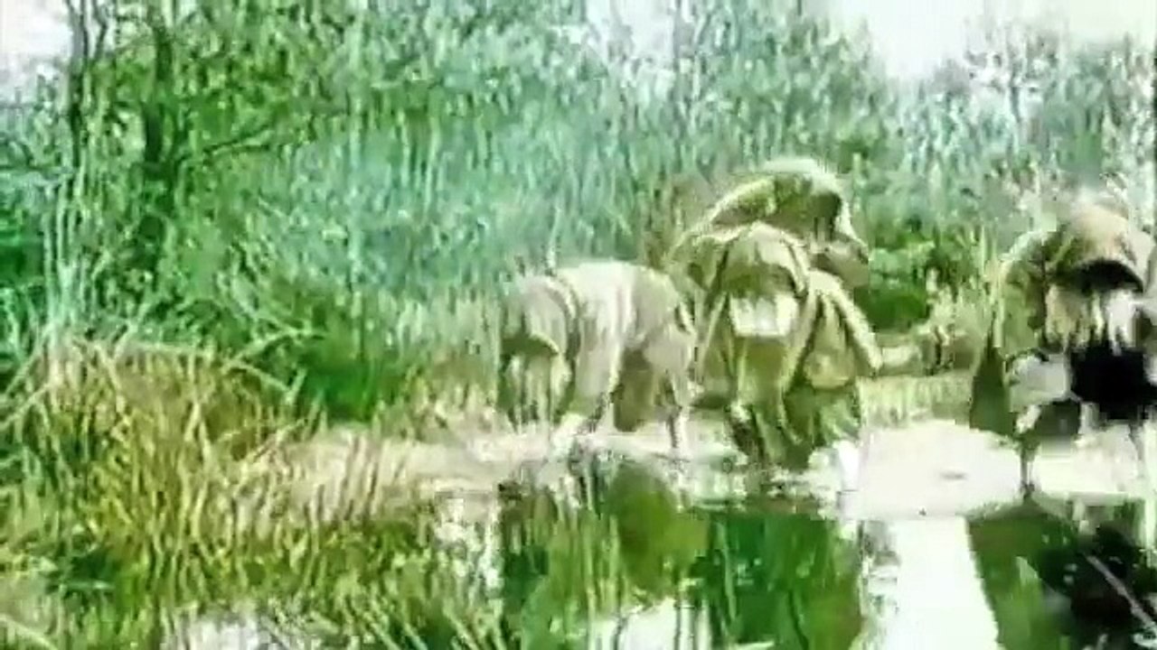 Eric di Martino - L' araignée d'or :  Segundo de Chomón / Music : Eric di Martino - 2015