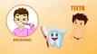 Teeth Human Body Parts Pre School Know Your Body Animated Videos For Kids