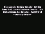 [PDF Download] Black Labrador Retriever Calendar - Only Dog Breed Black Labrador Retrievers
