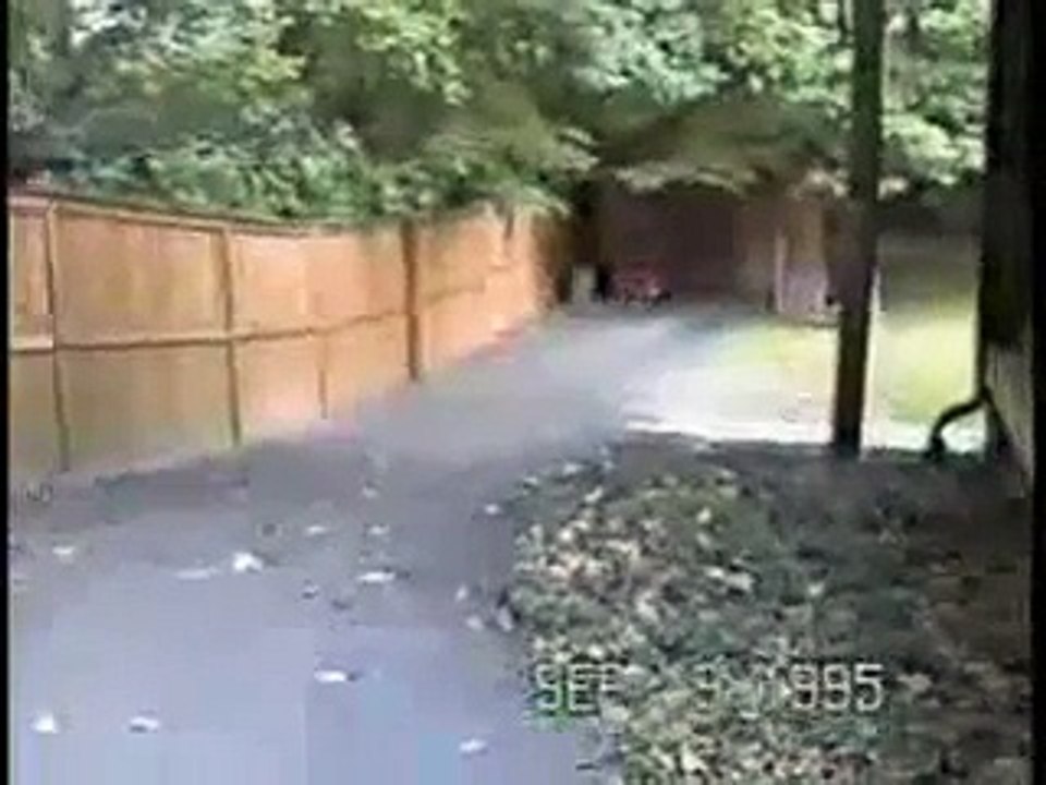 Idiots Of the World 2