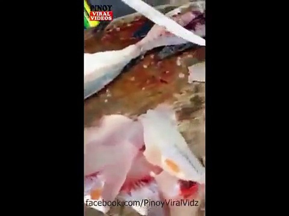 Fresh Tilapia