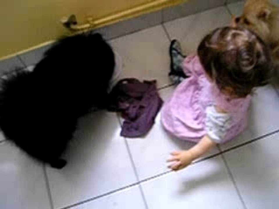 moment du repas