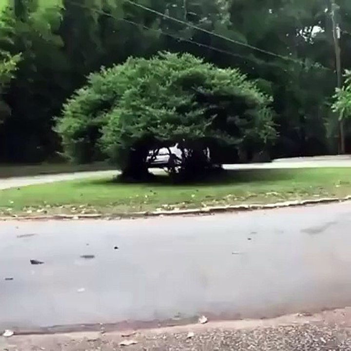 Kids are the future LOL