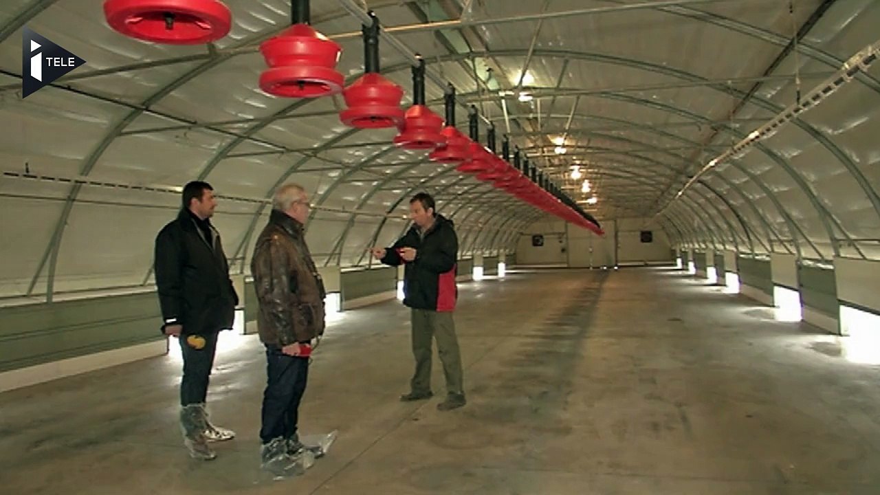 Grippe aviaire : les élevages vont être vidés peu à peu