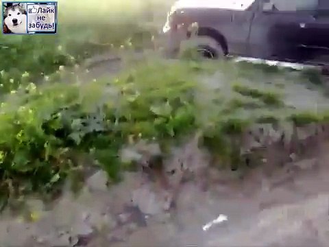 ЧТО ОН НЕ ТАК ДЕЛАЕТ КАК БУДТО МАГНИТОМ ОБРАТНО