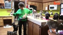 Ultimate Cat Lady - Woman Shares Her Home With 1,100 Felines -> MUST WATCH Cats