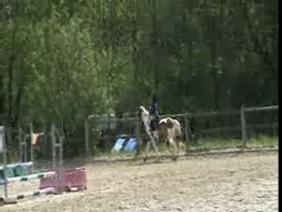 Chute cheval