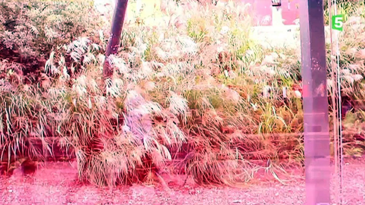 Les premiers pas de Claire Chazal sur France 5