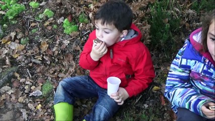 ballade avec la famille à tréguenanton