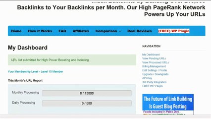 Backlink Indexer Review