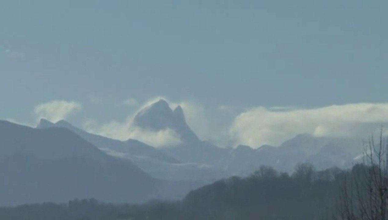 LES W-D.D. MICHOU NEWS - 16 et 17 JANVIER 2016 - PAU - EN TÊTE D'AFFICHES LES PYRÉNÉES