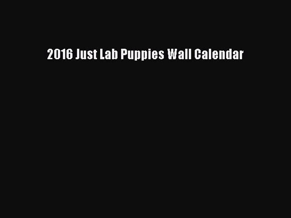 [PDF Download] 2016 Just Lab Puppies Wall Calendar [Read] Full Ebook