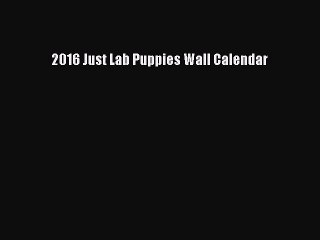 [PDF Download] 2016 Just Lab Puppies Wall Calendar [Read] Full Ebook