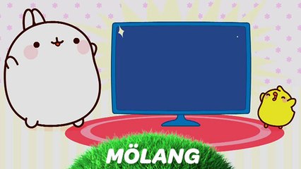 MOLANG - Episode "La télévision" - Dessin animé - Kids - Piwi+