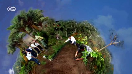 Rettung für den alten Regenwald der Maya | Wissen & Umwelt