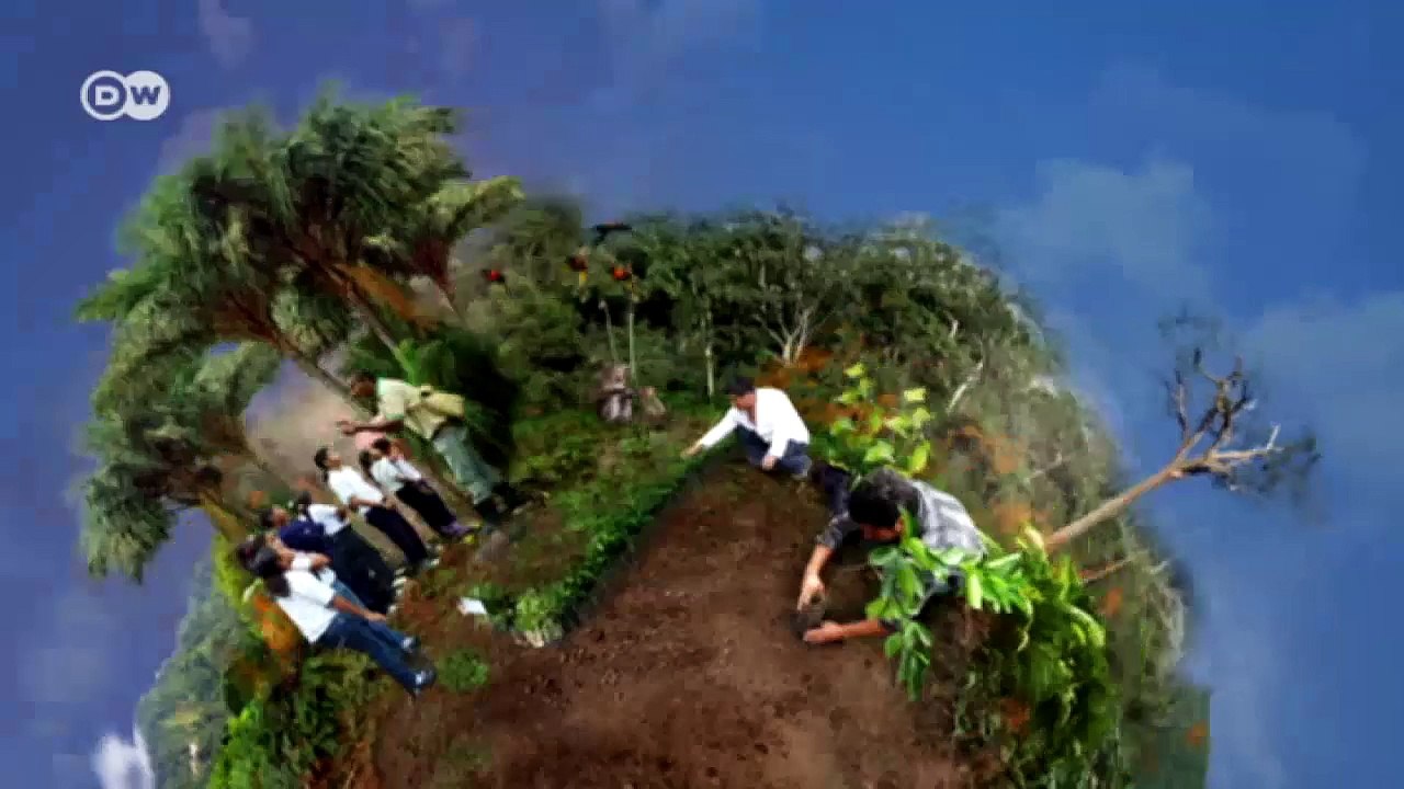 Rettung für den alten Regenwald der Maya | Wissen & Umwelt