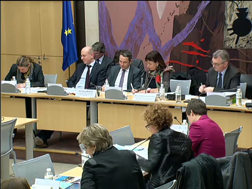 Catherine Troallic interroge Thierry Mandon sur le chômage des doctorants