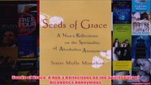 Download PDF  Seeds of Grace A Nuns Reflections on the Spirituality of Alcoholics Anonymous FULL FREE