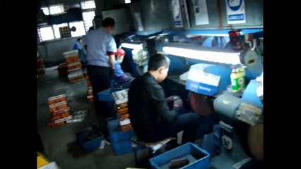 Furniture Hardware, Furniture Fittings and Cabinet Hardware - China: Door Stopper / Production 4