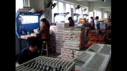 Furniture Hardware, Furniture Fittings and Cabinet Hardware - China: Door Stopper / Production 5