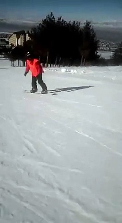 efe snowboard